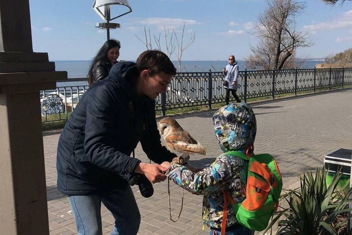 Мэр Анапы объявил войну фотографам-живодерам (видео)