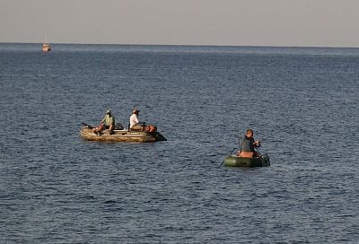 Популяция влияющего на сокращение рыбных запасов гребневика мнемиопсиса в Азовском море снизилась из-за обилия медуз