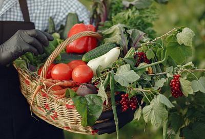 Ученые усомнились в корректности оценки эффективности селекции: урожайность завышали вдвое