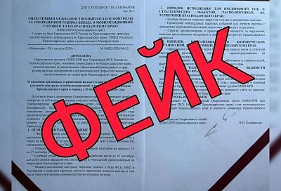 Фейковая информация о «выездных ограничениях» для мужчин распространяется в Краснодарском крае