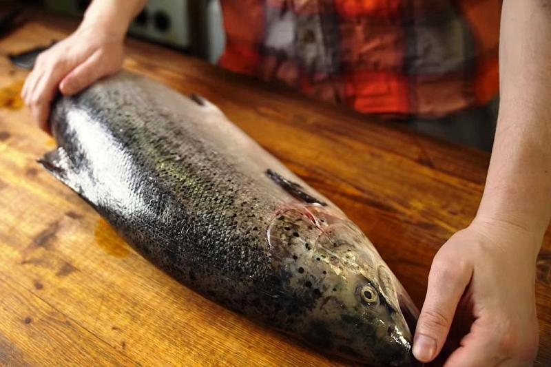 Генетически модифицированного лосося разрешили подавать в ресторанах