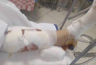 Лантратова просит проверить отказ завести дело о наезде на ребенка в Краснодаре