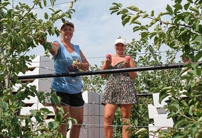 Хутор Веселая Жизнь на Кубани вошел в топ населенных пунктов РФ с самыми забавными названиями
