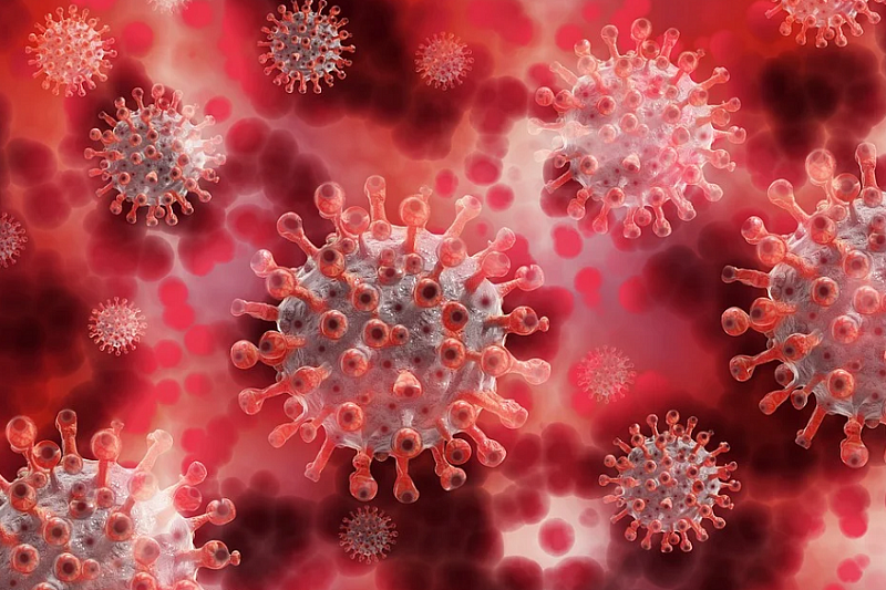 Ученые доказали, что легкая форма коронавируса надолго сохраняет иммунитет