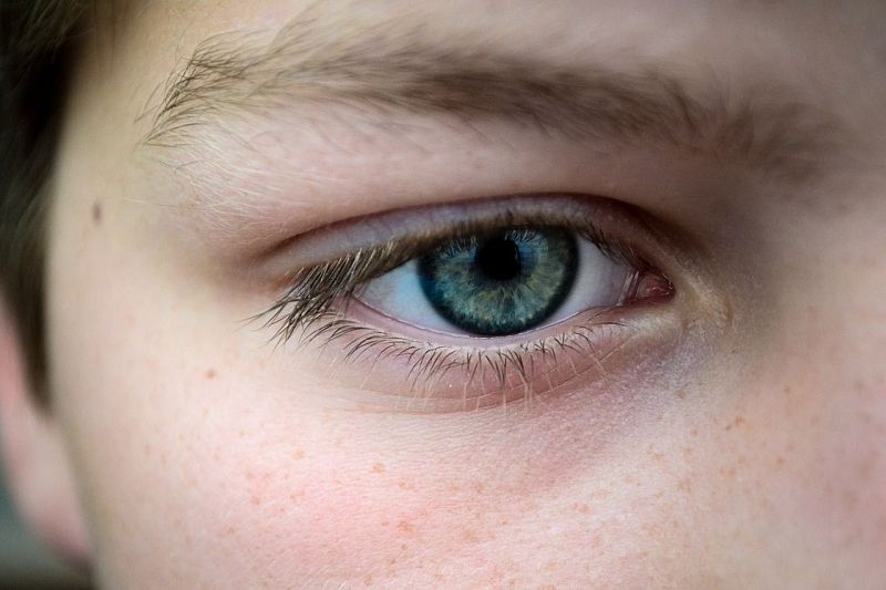 Учёные выяснили новое последствие пандемии: удаленка ухудшила зрение школьников в полтора раза