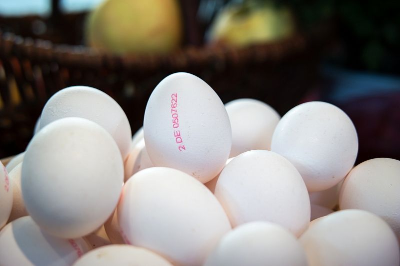 Буквы на яйцах: что означает маркировка на скорлупе фабричного продукта