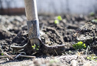 В Краснодаре мужчина ударил полицейского лопатой по голове во время задержания