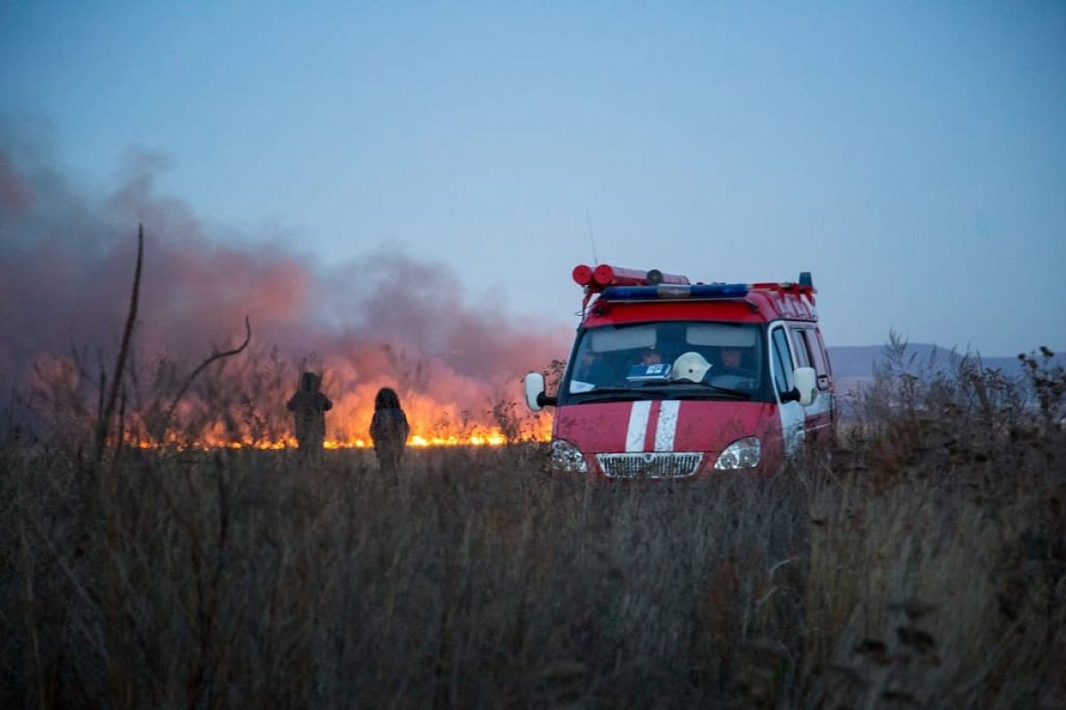 В Анапе площадь горящих плавней сократилась до 800 кв.м