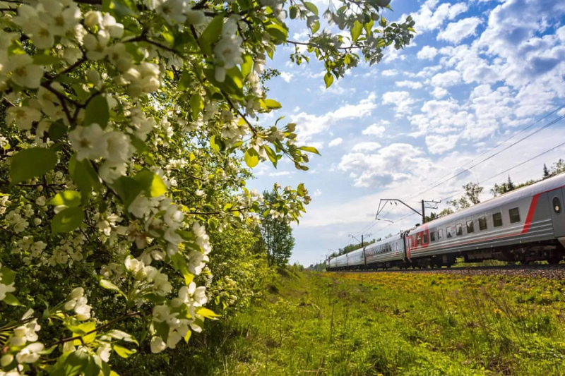 Поезда по маршруту Элиста-Ставрополь-Краснодар-Анапа запустят в апреле
