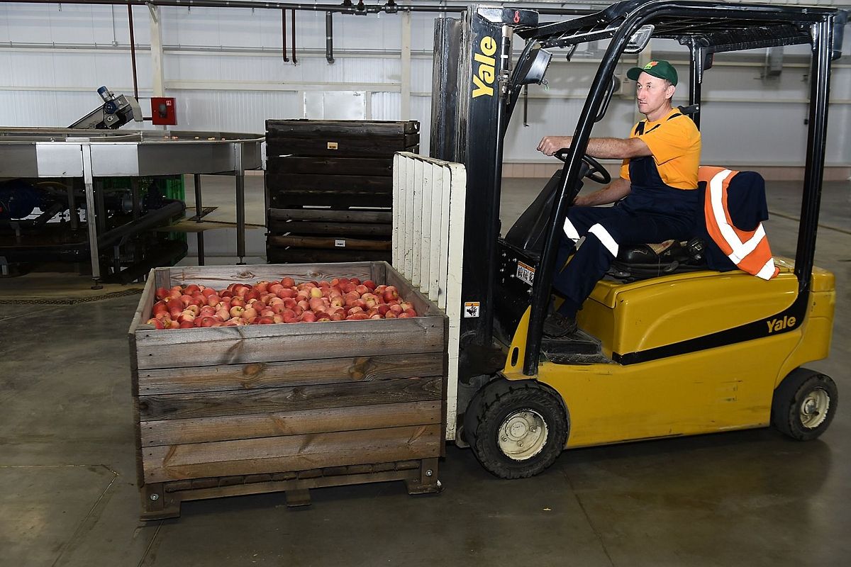 Северо-задонский экспериментальный завод. 8 кг. Алма производство. Алма производство. Сады алма продакшн.
