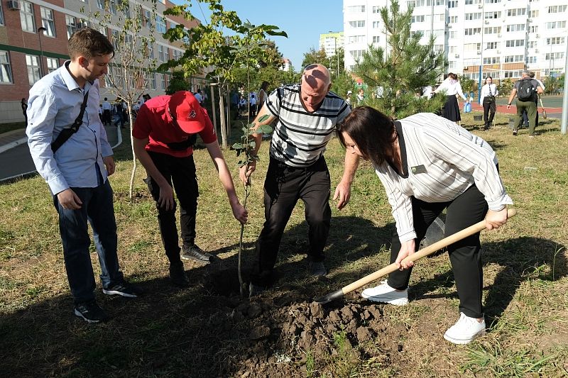 В краснодарской школе № 104 высадили аллею, посвященную погибшим детям Донбасса