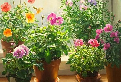 Банановый эликсир: как кожура и мякоть оживляют даже самые хилые цветы за сутки