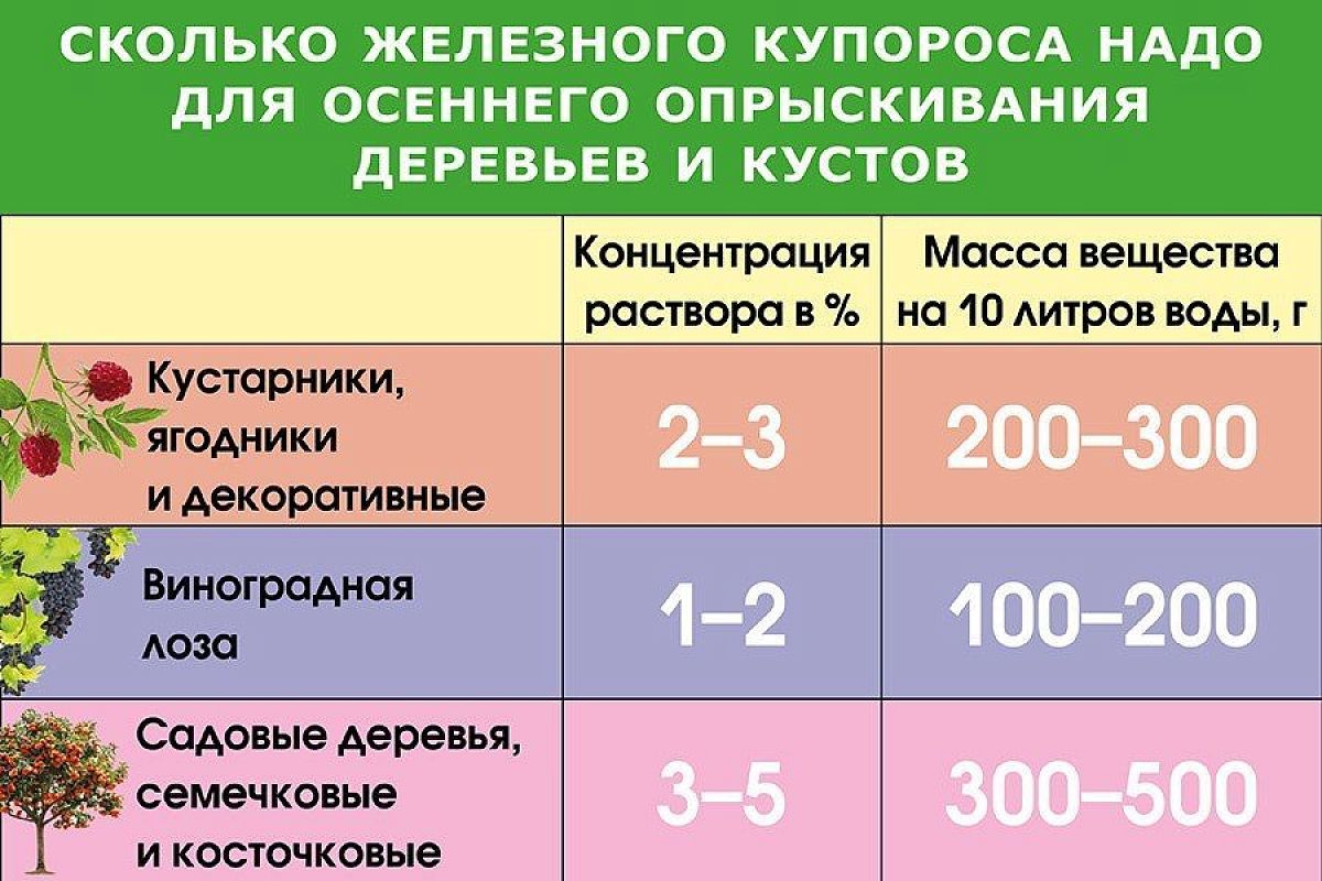 Железный купорос в осеннем саду: ваше супероружие против болезней растений