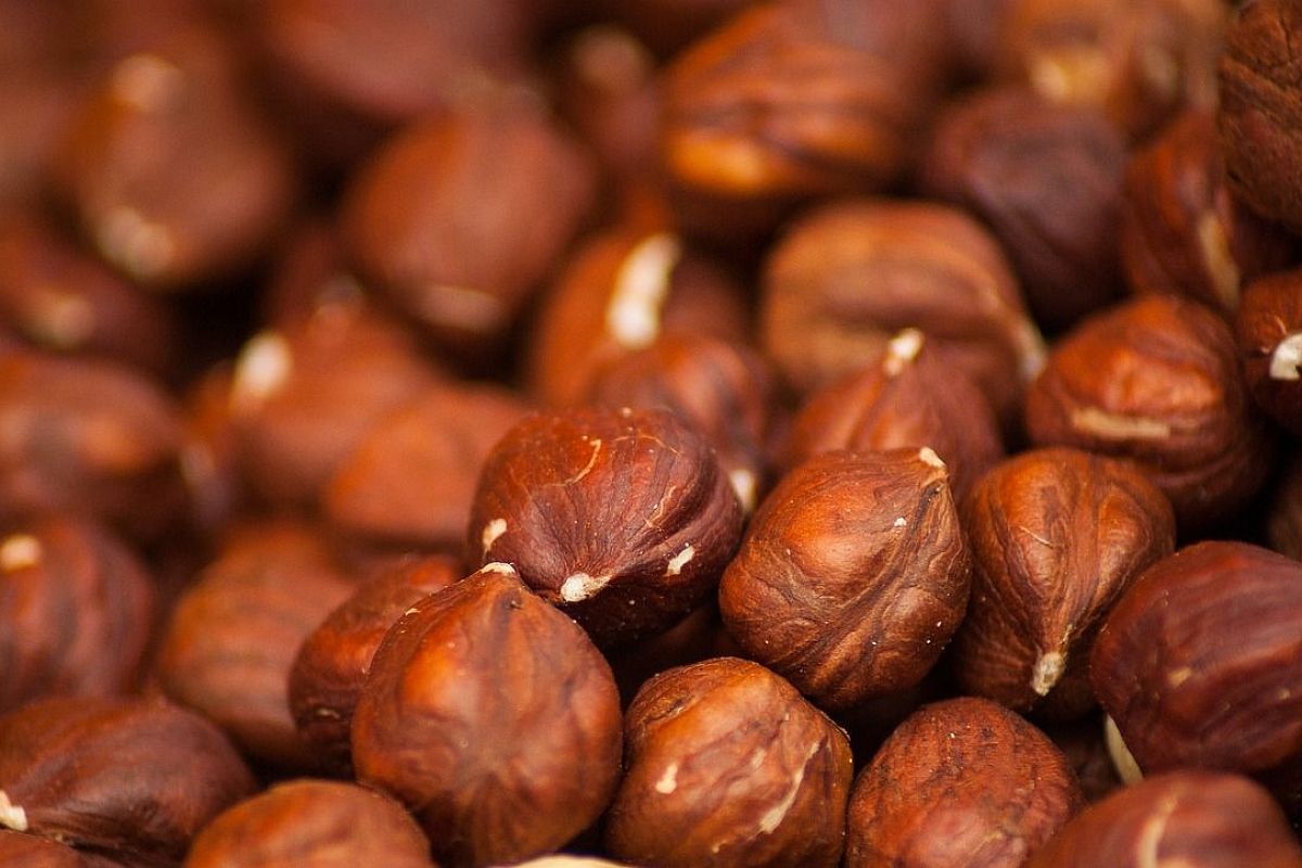 Ученый назвал продукты для сохранения молодости кожи