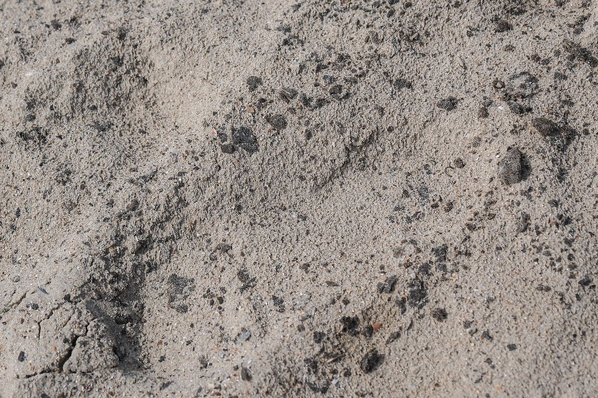 Около 1 км берега очистили от новых выбросов мазута в Темрюкском районе