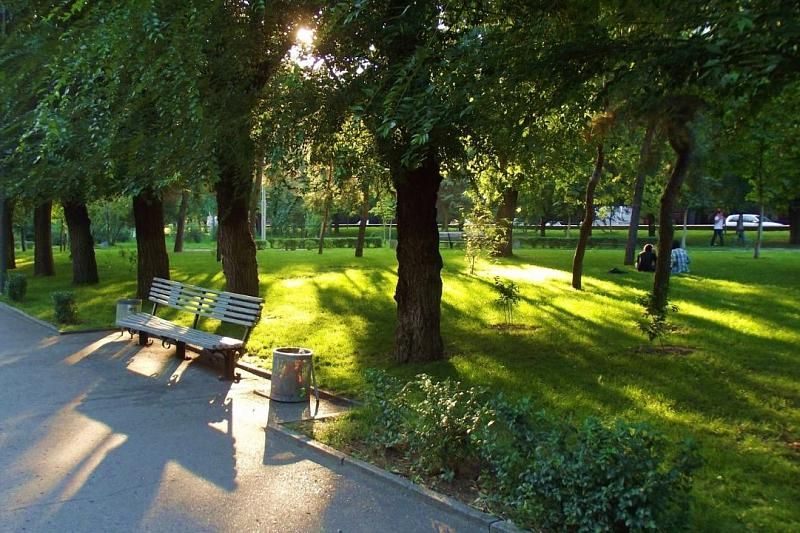 В Сочи откроют новый парк