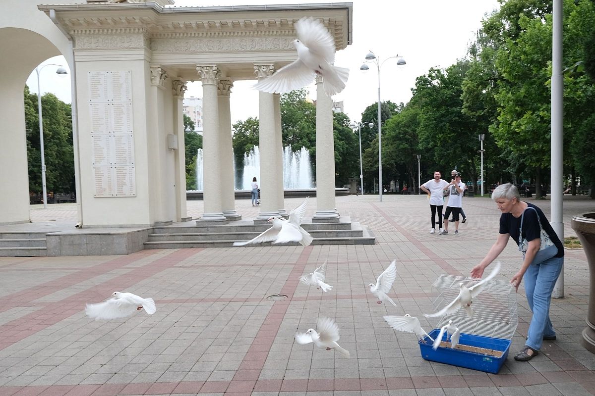 В краснодарском сквере им. Г.К. Жукова в знак приверженности миру юные кубанцы в небо выпустили белых голубей.