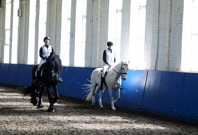 Школу для занятий конным спортом планируют открыть на базе Краснодарского ипподрома