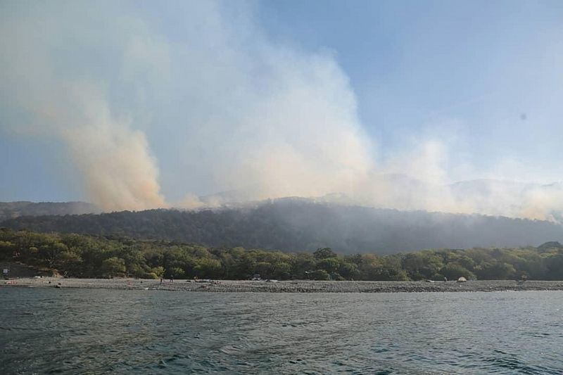 Площадь пожара в Анапе на Утрише увеличилась до 126 га