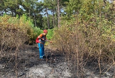 Два крупных лесных пожара тушат на курортах Краснодарского края