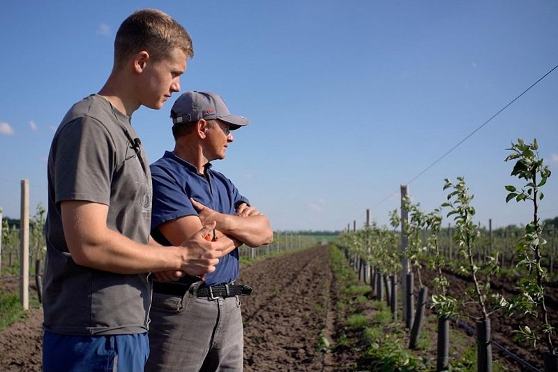 Начинающий фермер Александр Жученко и его отец, глава КФХ Леонид Жученко 