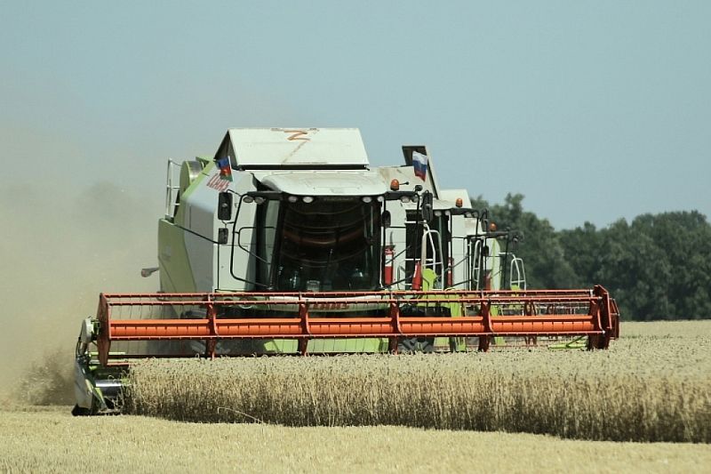 Краснодарские сельхозпроизводители получили поддержку на 250 млн рублей