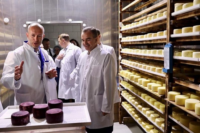 Губернатор Кубани Вениамин Кондратьев оценил производство сырной продукции в Абинском районе