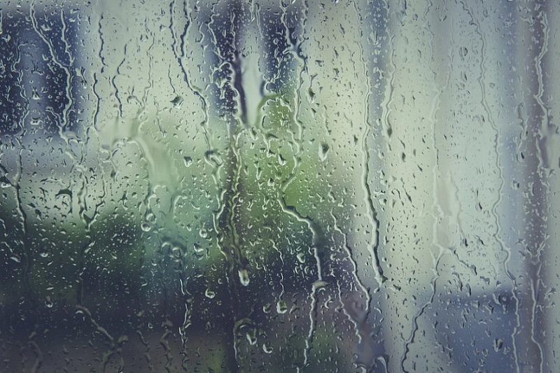 Тепло, но пасмурно: дожди с грозами пройдут 14 сентября на Кубани