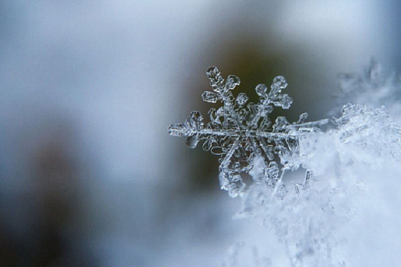 В МЧС предупредили о налипании мокрого снега в Краснодарском крае 10 ноября