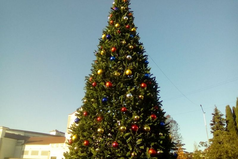 Главную новогоднюю елку установили на центральной площади Туапсе