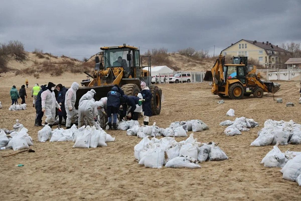 За сутки на побережье Краснодарского края собрали более 4 тысяч тонн загрязненного грунта