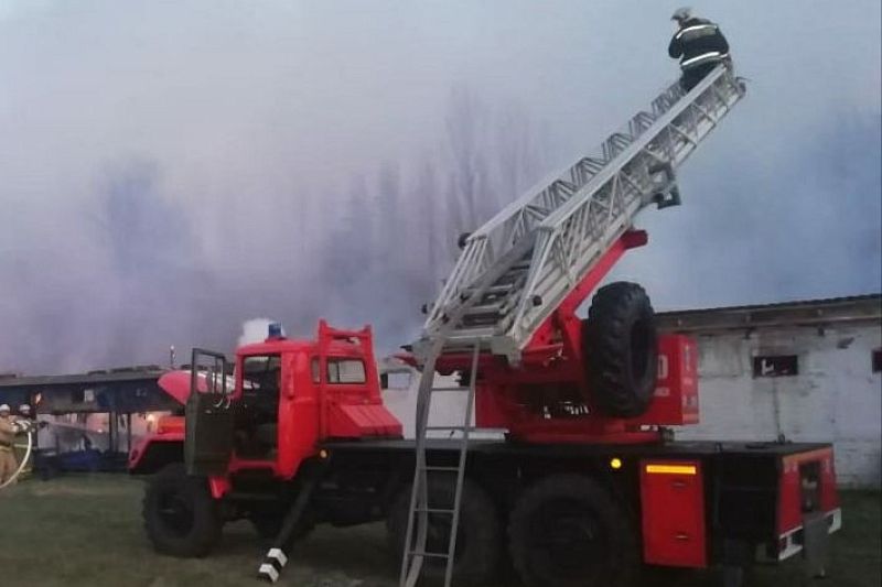 В Краснодарском крае сгорел корпус птицефабрики площадью 1200 кв.м.