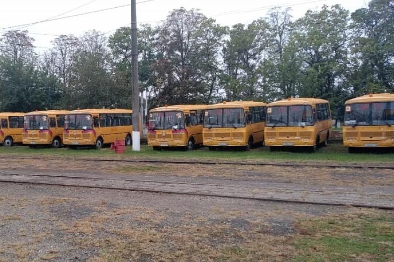 В 2020 году краснодарских школьников будут перевозить 166 новых автобусов