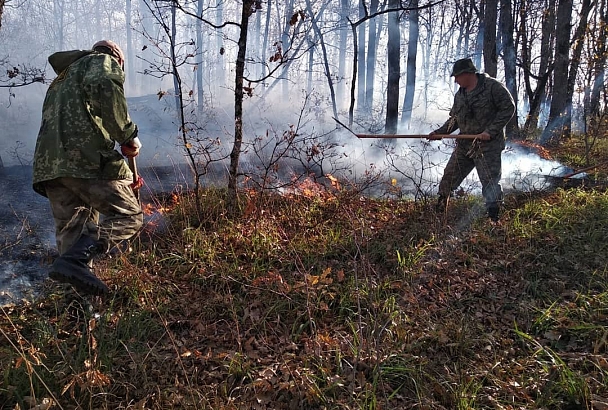 В Краснодарском крае зону лесных пожаров обследуют с помощью беспилотника