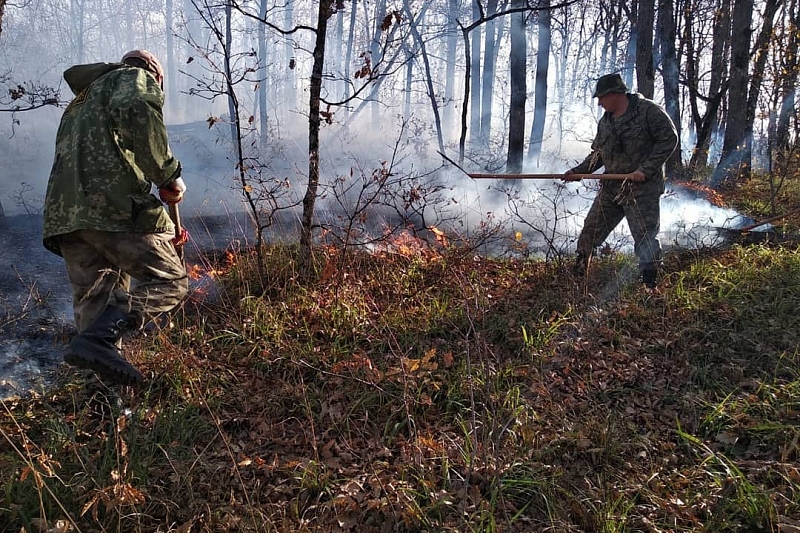 В Краснодарском крае зону лесных пожаров обследуют с помощью беспилотника