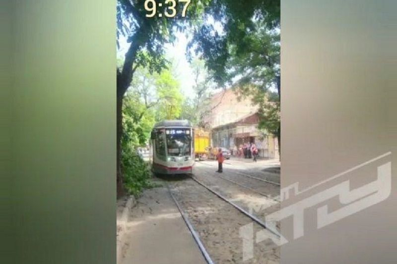 Движение трамваев было остановлено в Краснодаре из-за упавшего на рельсы дерева