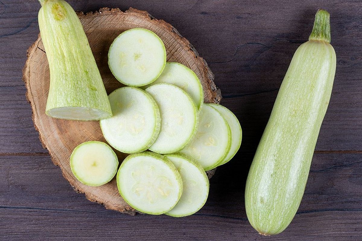 Зачем обрезать листья у кабачков: 5 минут работы — и урожай без гнили ведрами