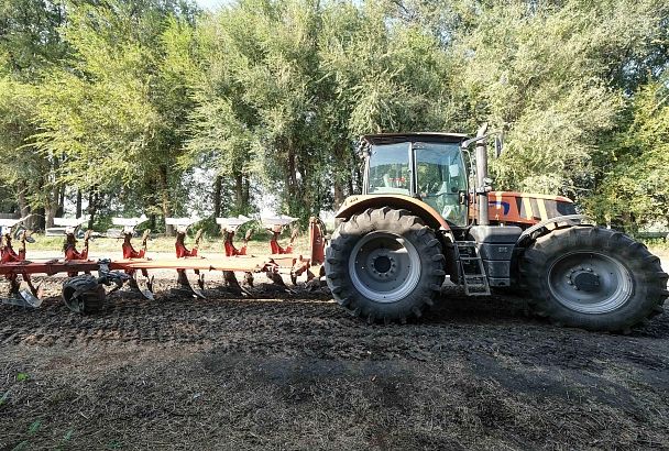 Треть аграрной продукции Краснодарского края производят фермеры