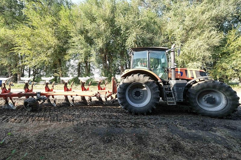 Треть аграрной продукции Краснодарского края производят фермеры