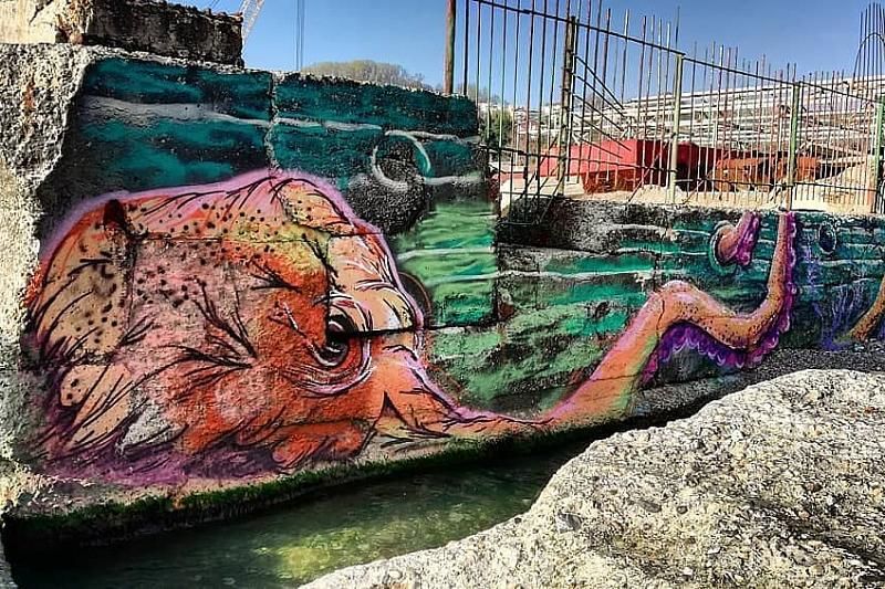 В Сочи на пляже появилось граффити 25-метрового осьминога