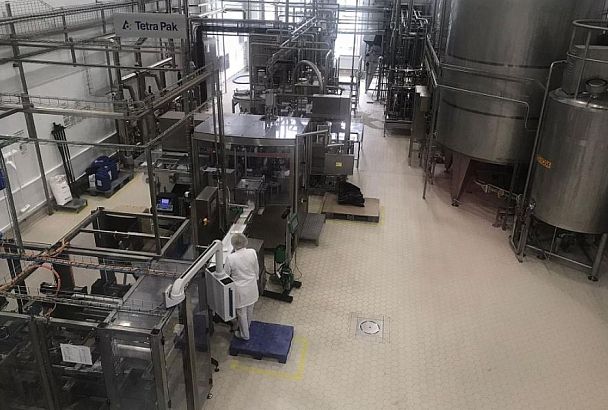 Сыродельный завод в Краснодарском крае подвел итоги реализации национального проекта «Производительность труда»