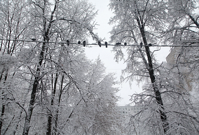 Стихия обрушится на Сочи: сильный дождь со снегом ожидается на курорте в ближайшие дни