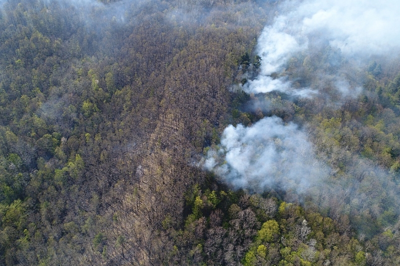 В Краснодарском крае тушат лесной пожар на площади 20 га