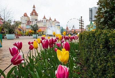 Праздник со скидкой: курорты Краснодарского края подготовили акции к Международному женскому дню