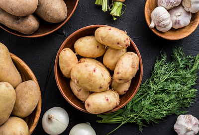 Китайские ученые нашли способ выводить новые сорта картофеля в два раза быстрее