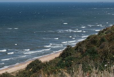 Запасы пиленгаса в Азовском море выросли на 30% за год