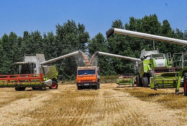 На Кубани завершилась жатва: аграрии собрали более 10,2 миллиона тонн озимой пшеницы