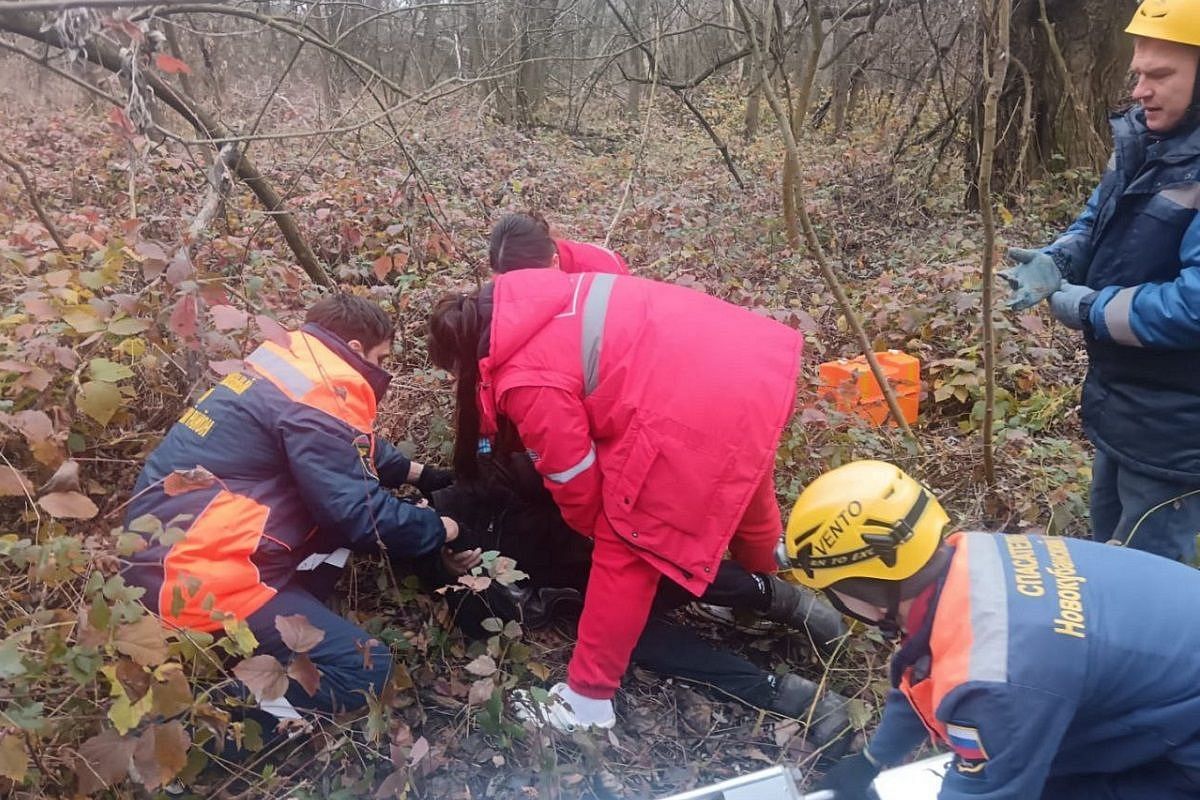 Дерево упало на мужчину в Краснодарском крае