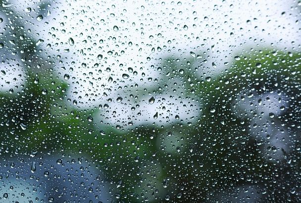 Дождь и гроза: стало известно, какой будет погода в крае и в кубанской столице 24 апреля 