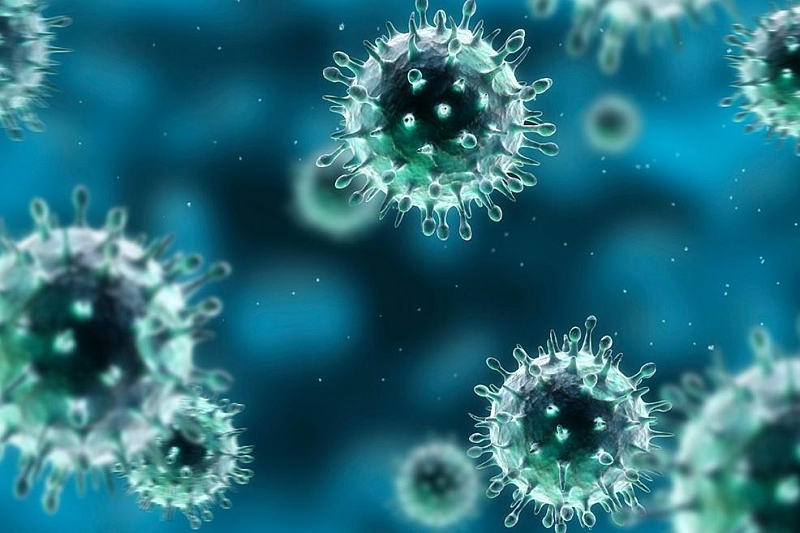 Специалисты ВОЗ прокомментировали сообщения о новом штамме свиного гриппа